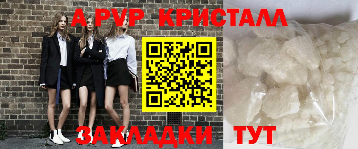 А ПВП крисы CK  Вход с VPN  Заволжье  Альфа ПВП  А ПВП VHQ 