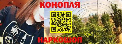сатива Бийск