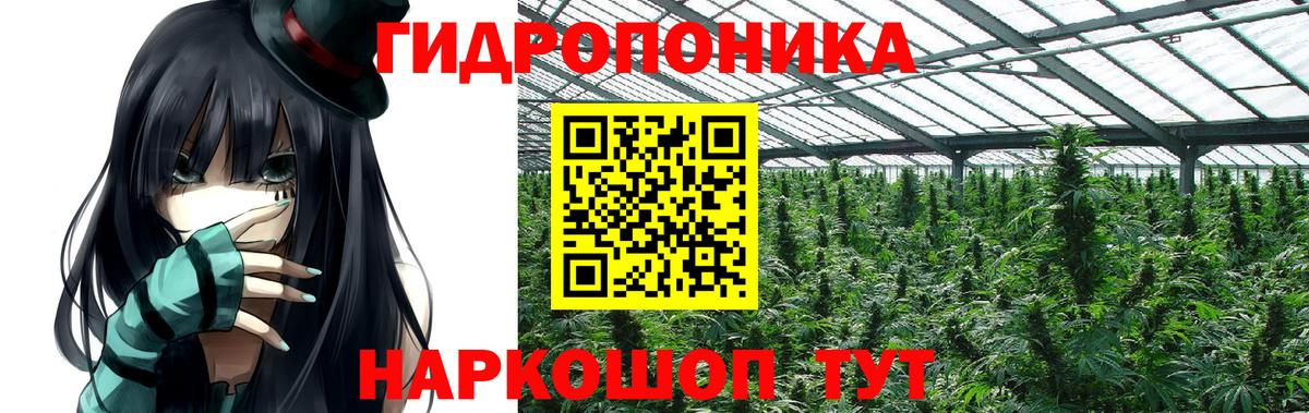 LSD-25 Заволжье